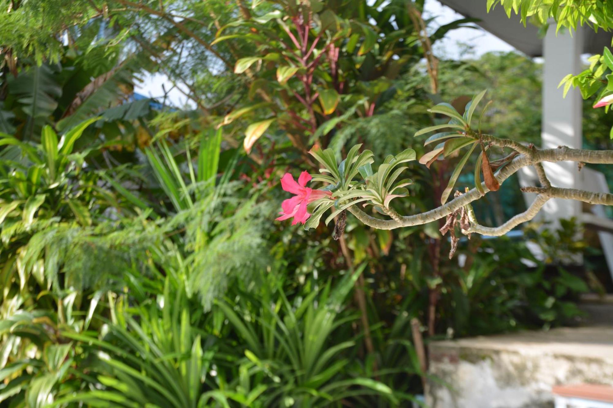 Baan Suan Villa 1 Patong Экстерьер фото